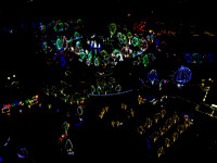 Columbus Zoo Wildlights - 2014