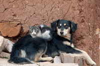 Best friends!